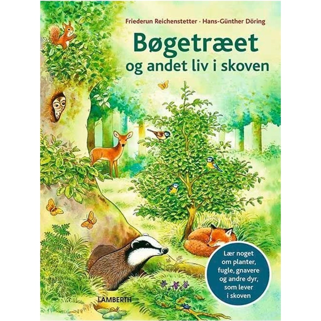 Bøgetræet og andet liv i skoven - Børnebog - hardcover