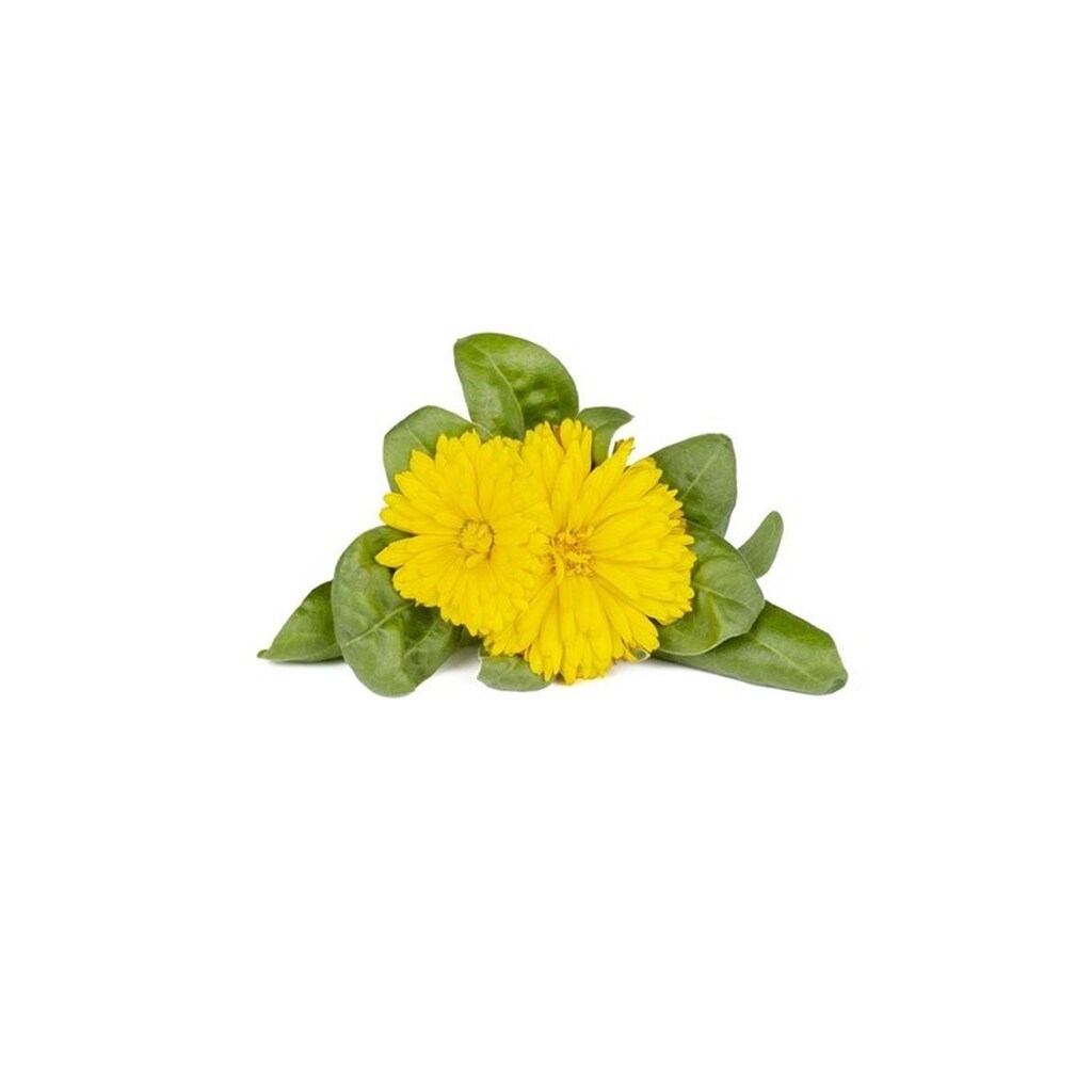 Click &amp; Grow Click and Grow Smart Garden Refill 3-pack - Calendula