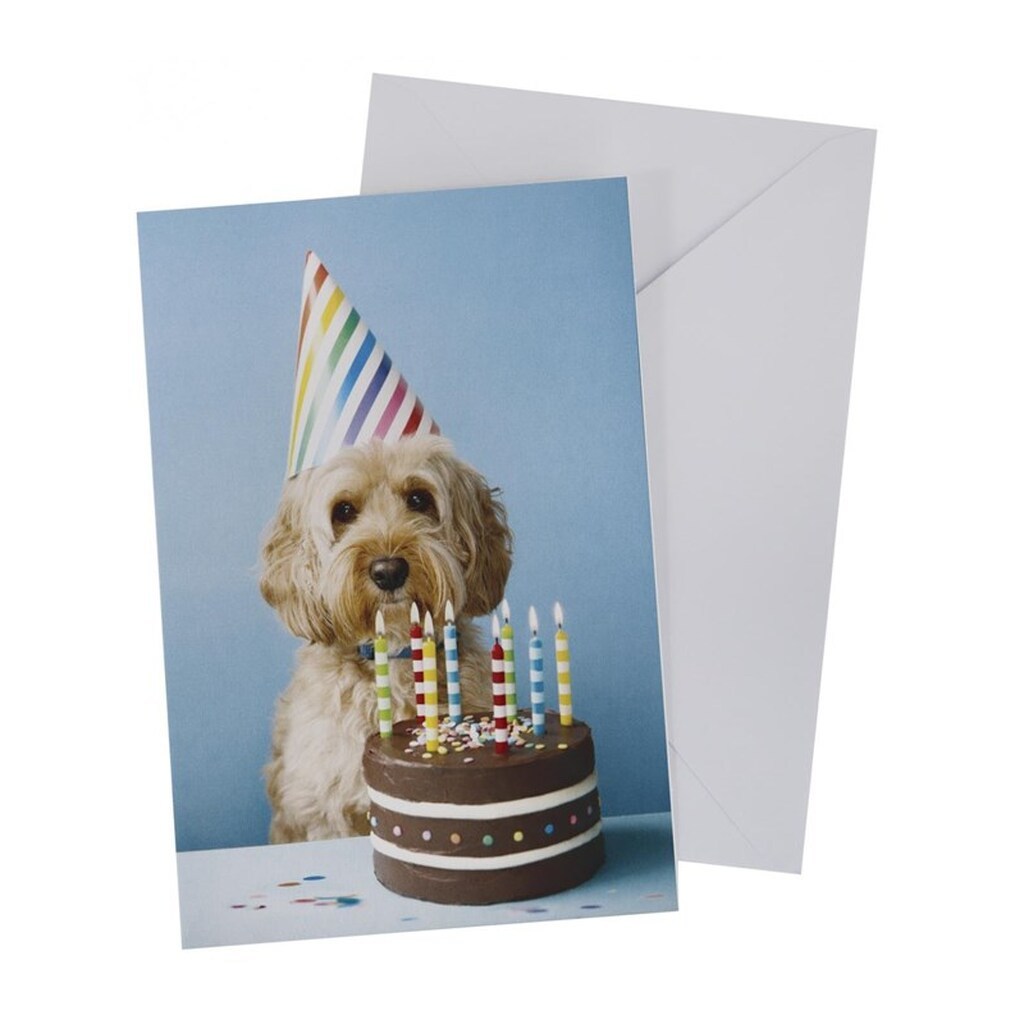 SCANSEASON Kort m. konvolut hund m. lagkage 11*17cm