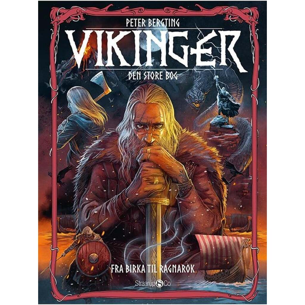 Vikinger - fra Birka til Ragnarok - Børnebog - Hardback