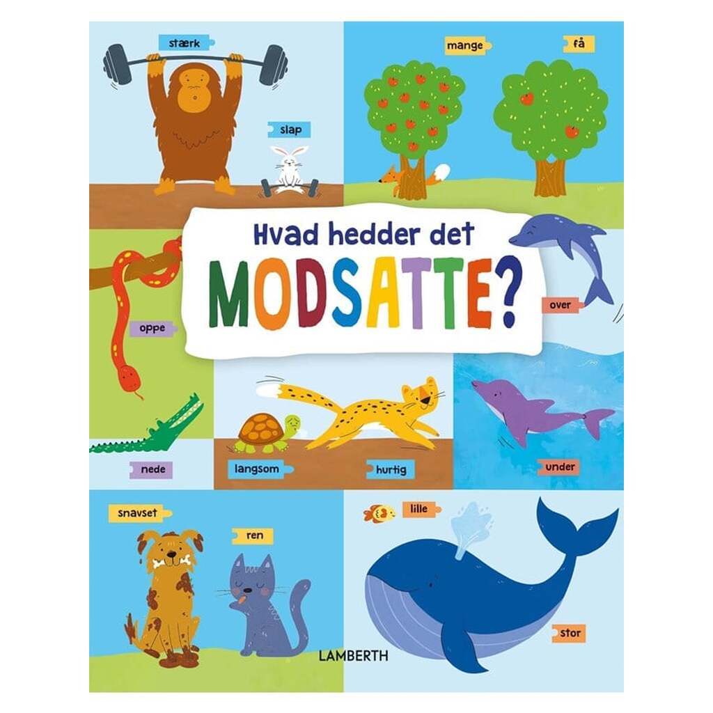 Hvad hedder det modsatte? - Børnebog - Hardcover
