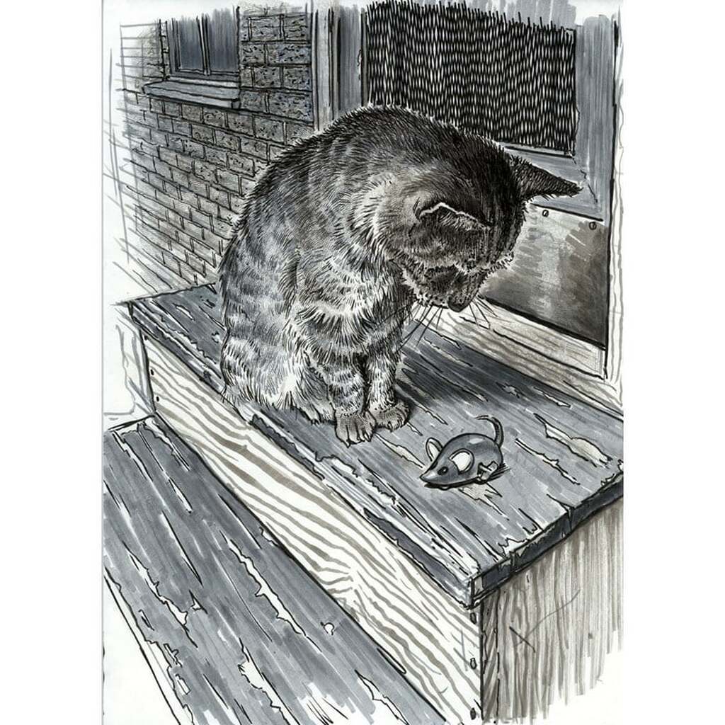 Faber-Castell Pitt Artist Pen Brush tuschpen, etui med 8 stk, sort &amp;amp; grå