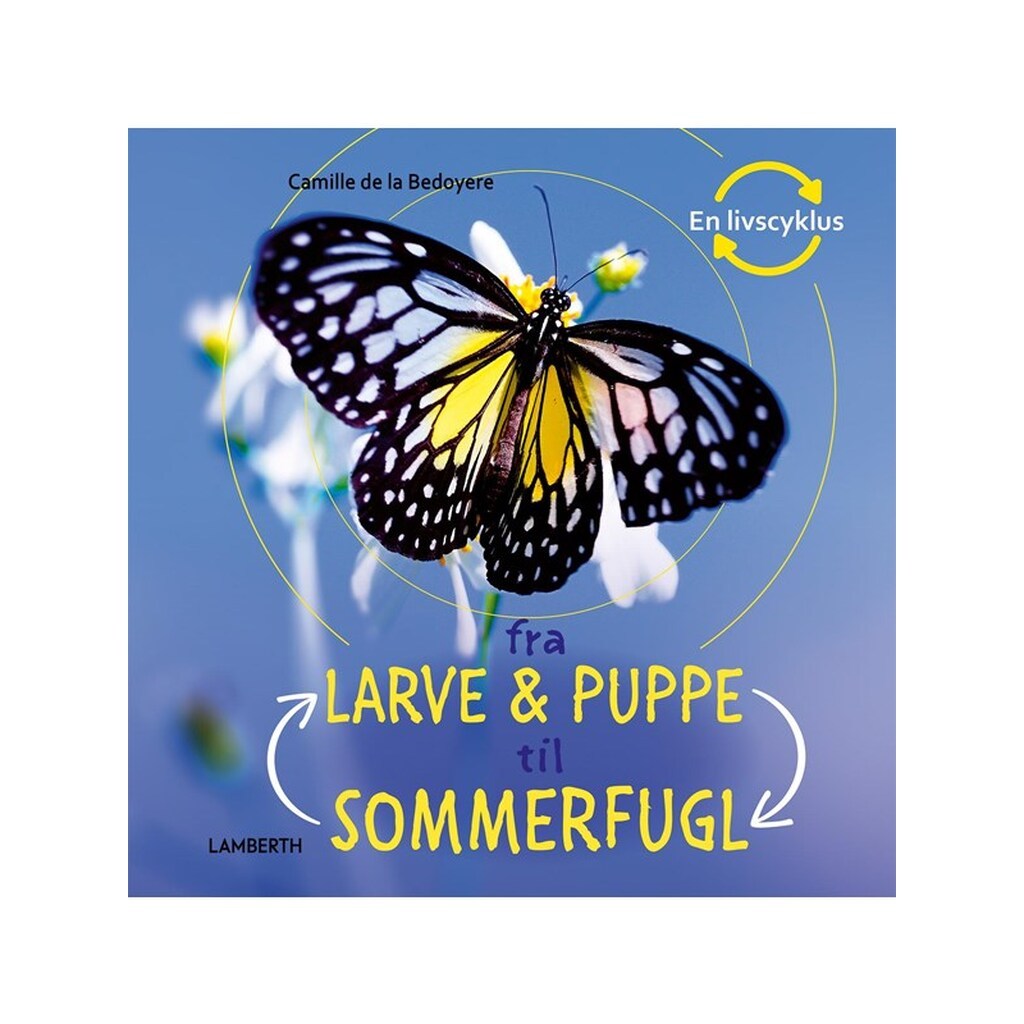 Fra larve og puppe til sommerfugl - Børnebog - Hardcover