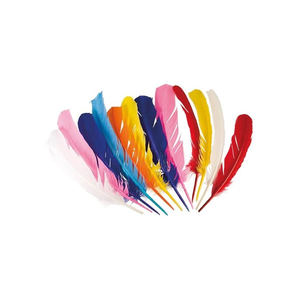 Boland - Indian Feathers 12pcs.