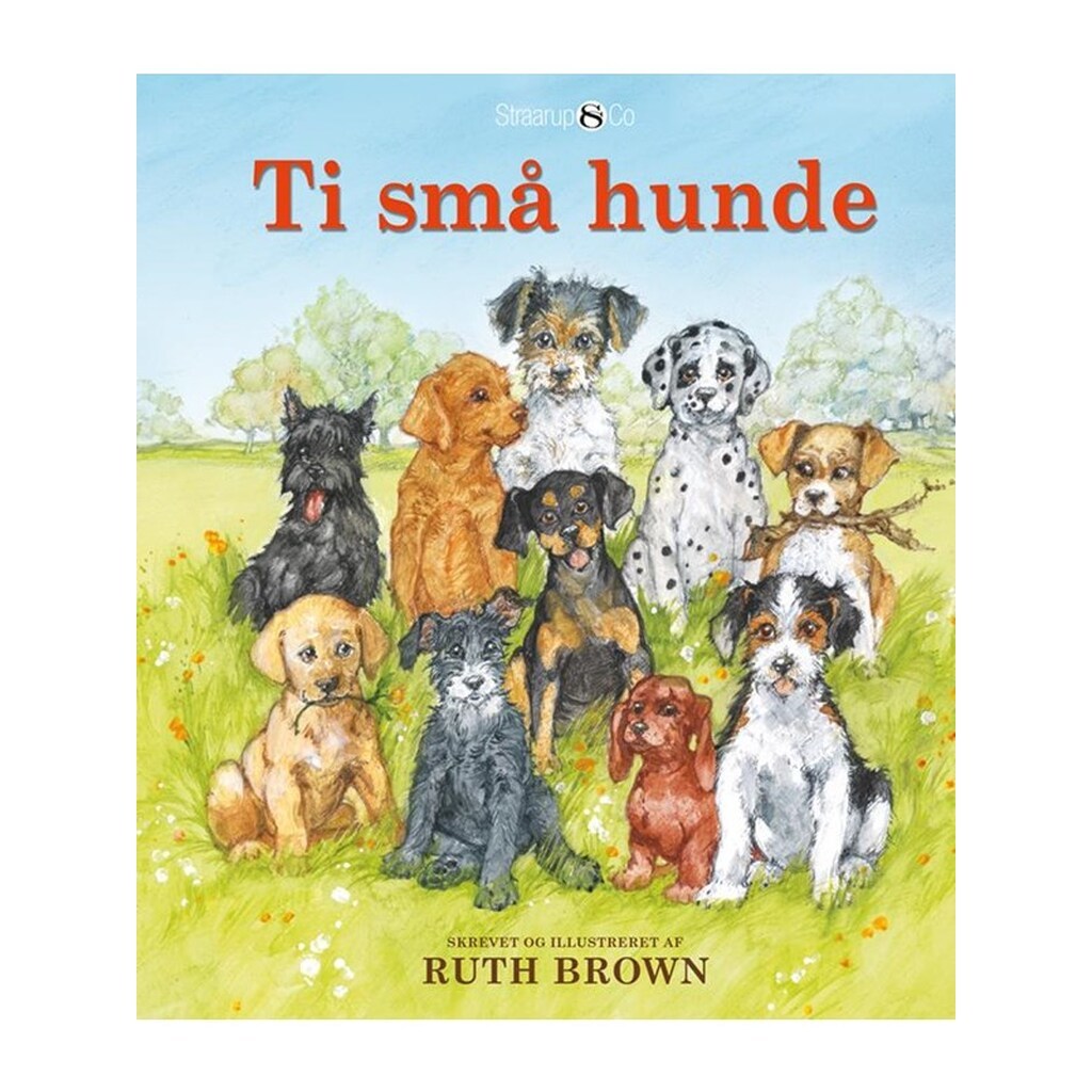 Ti små hunde - Børnebog - hardback