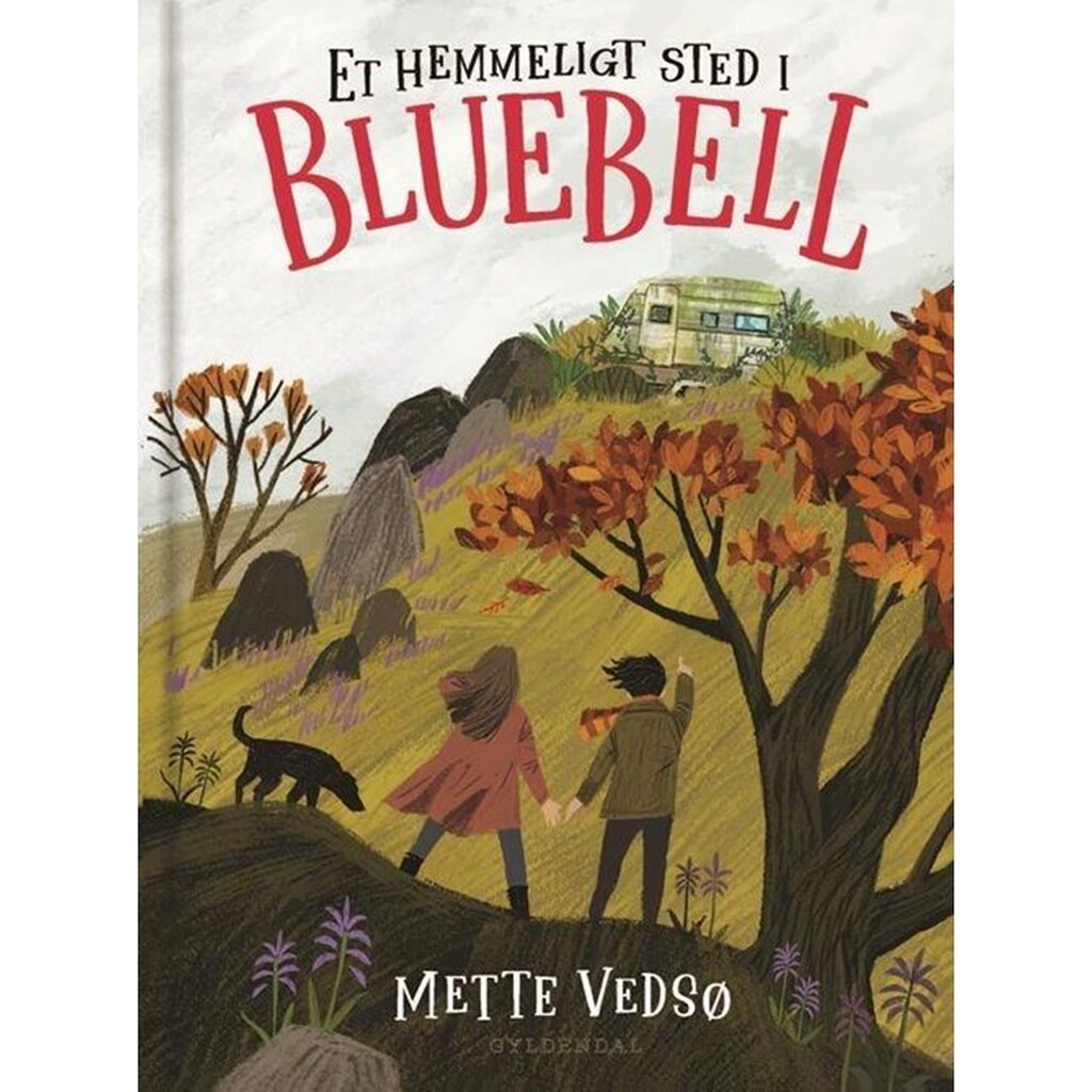 Et hemmeligt sted i Bluebell - Børnebog - Hardcover