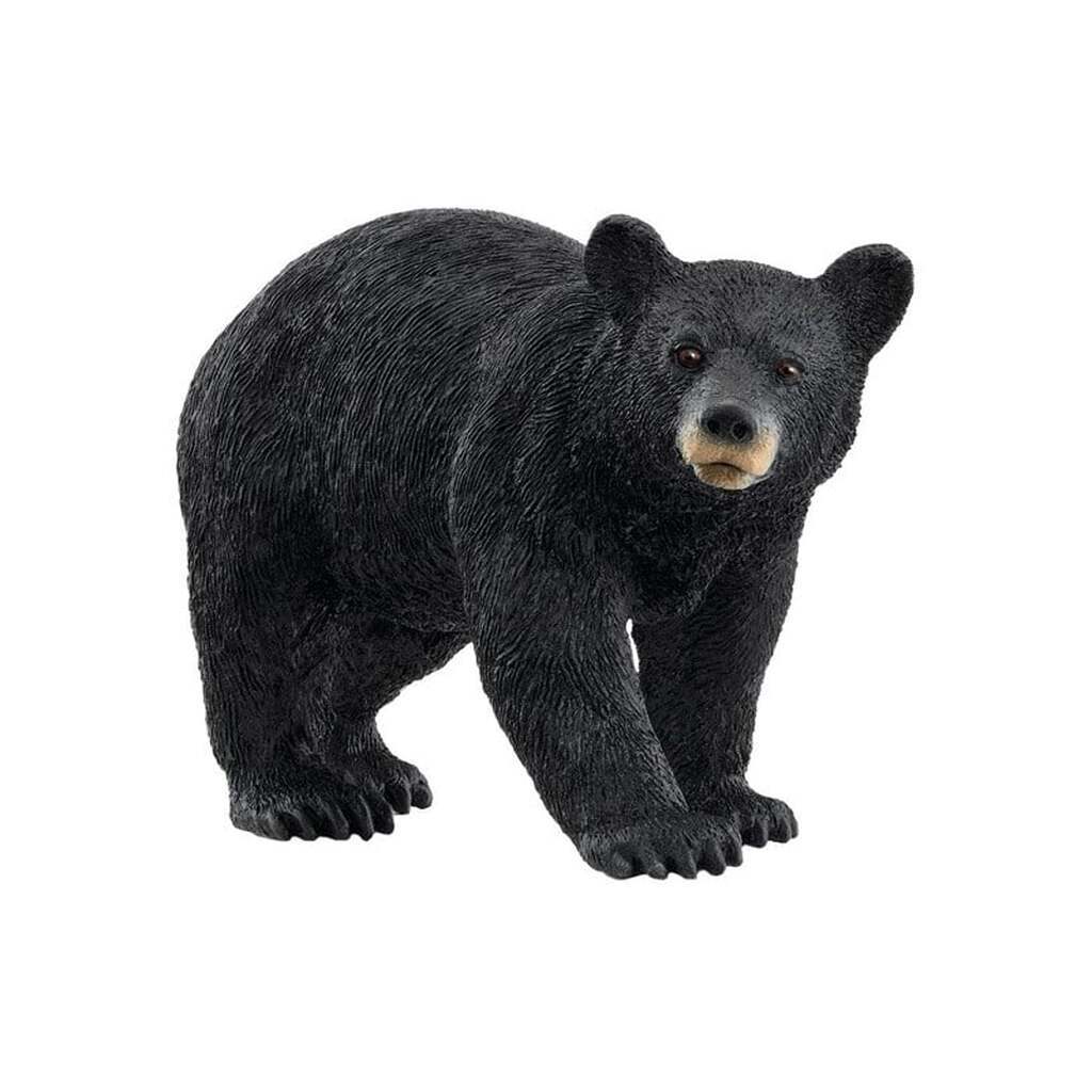 Schleich Amerikansk Sortbjørn