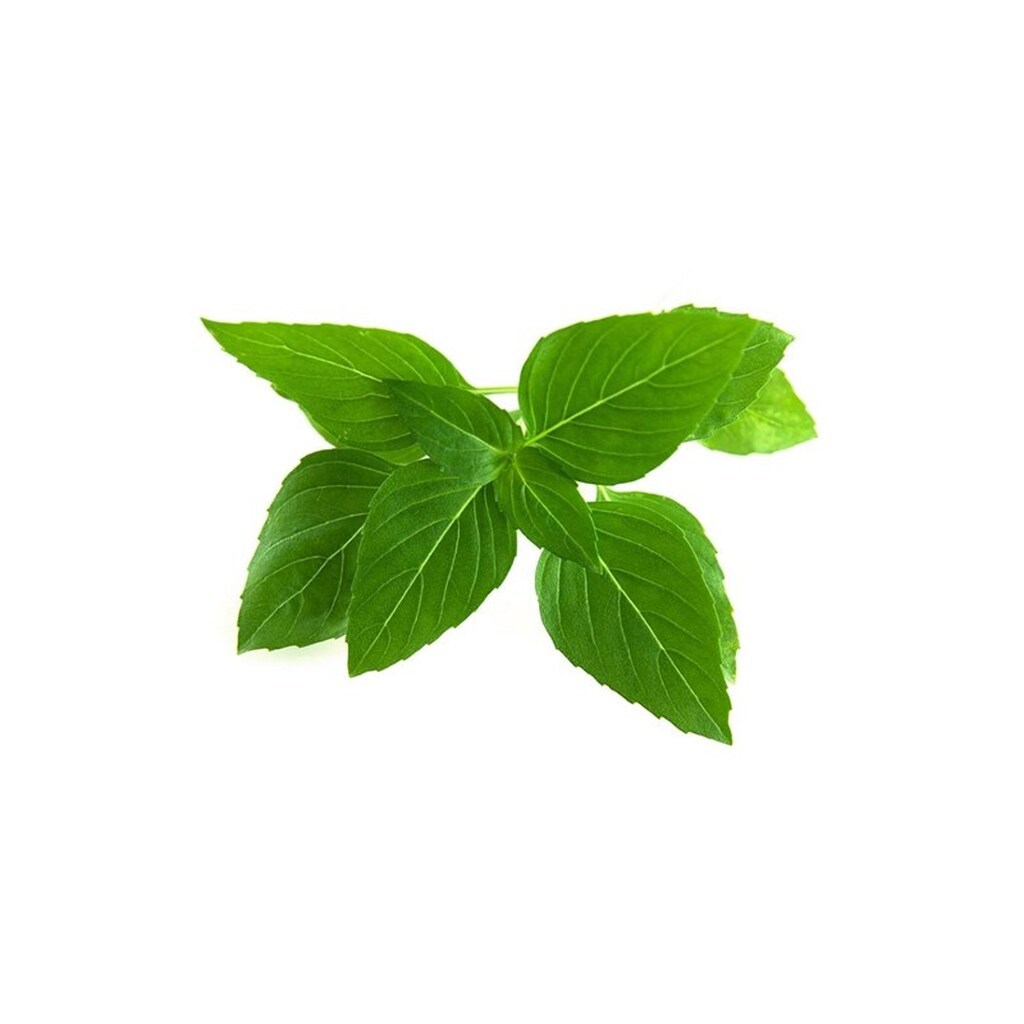 Click &amp; Grow Click and Grow - Smart Garden Refill 3-pack Thai Basil