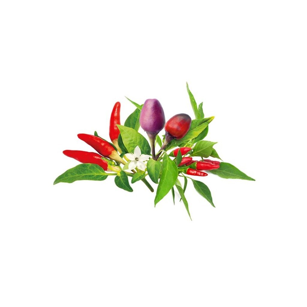 Click &amp; Grow Click and Grow - Smart Garden Refill 9-pack Chili Pepper Mix