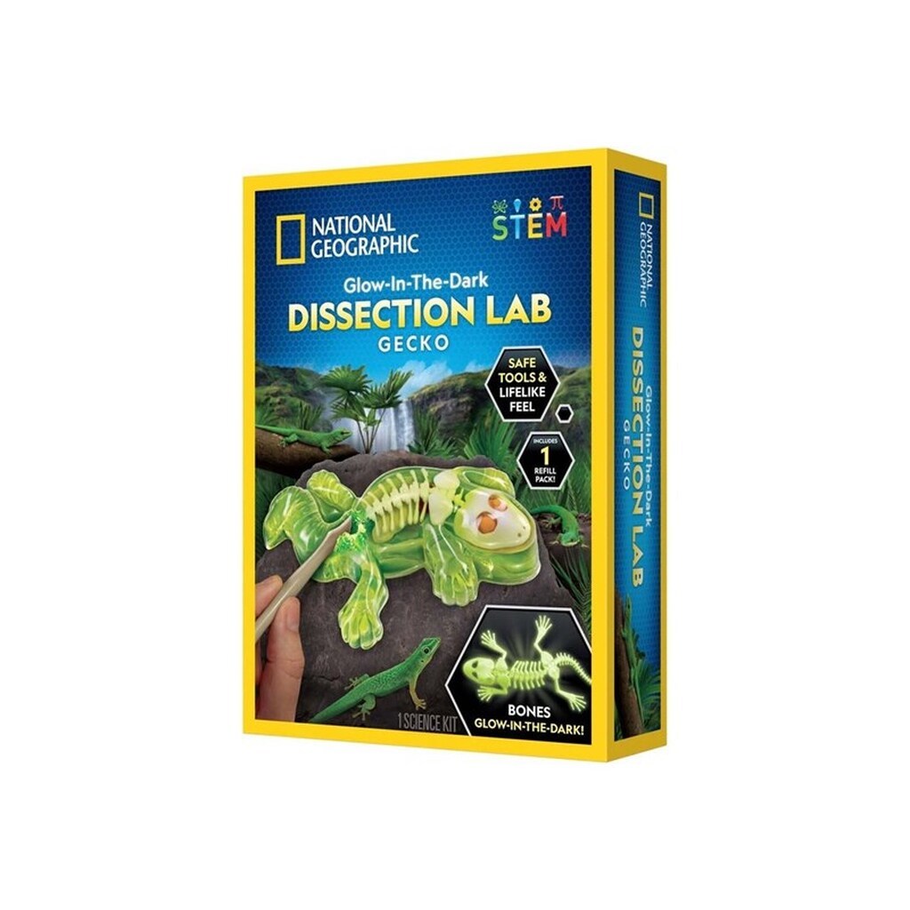 National Geographic Lab m Gekko-dissektion