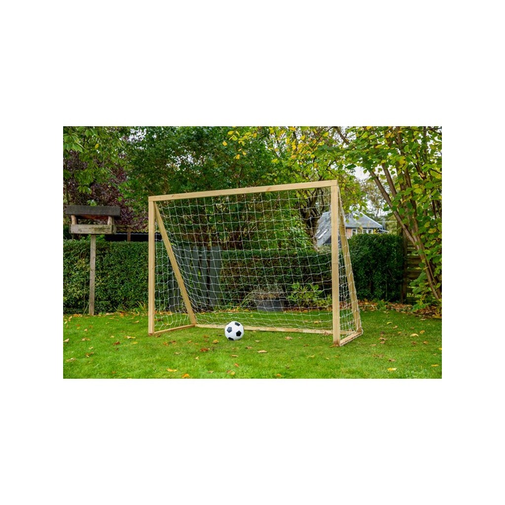 Home Goal Classic Senior