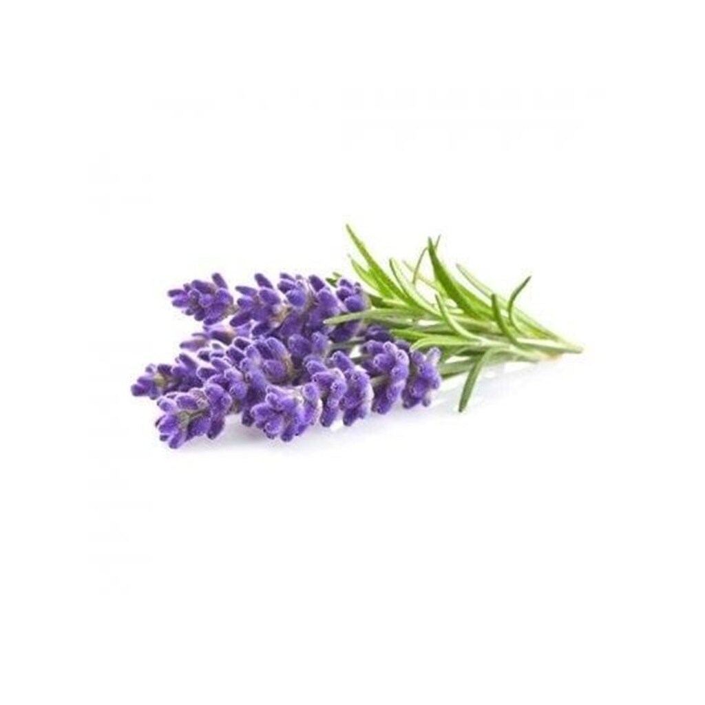 Click &amp; Grow Click and Grow - Smart Garden Refill 3-pack - Lavender (SGR30X3)