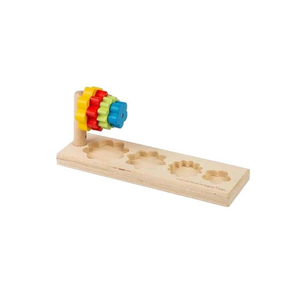 Bigjigs Flower Sorter 5pcs.