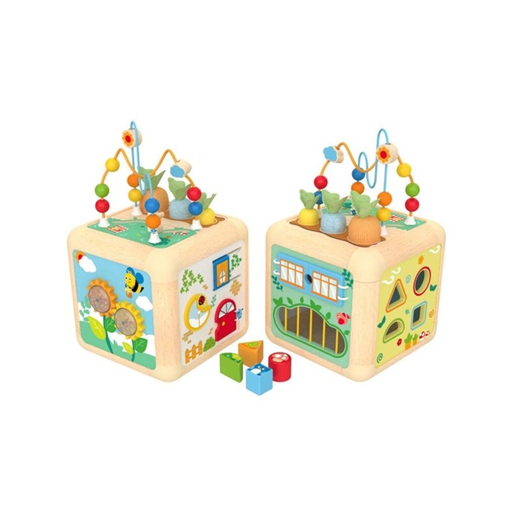 Hape Carrot Activity Cube