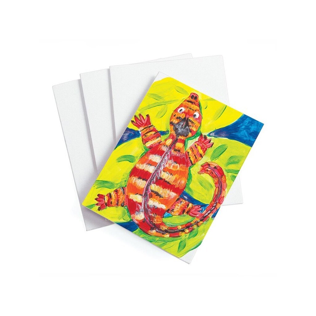 Colorations - Canvas Cotton 20.5 x 15cm Set of 12