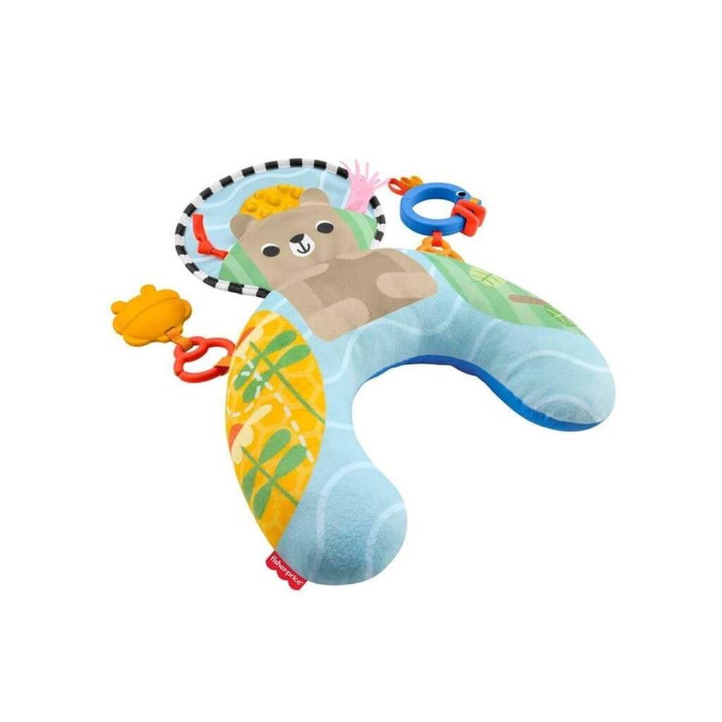 Fisher Price Fisher-Price JHB44 learning toy