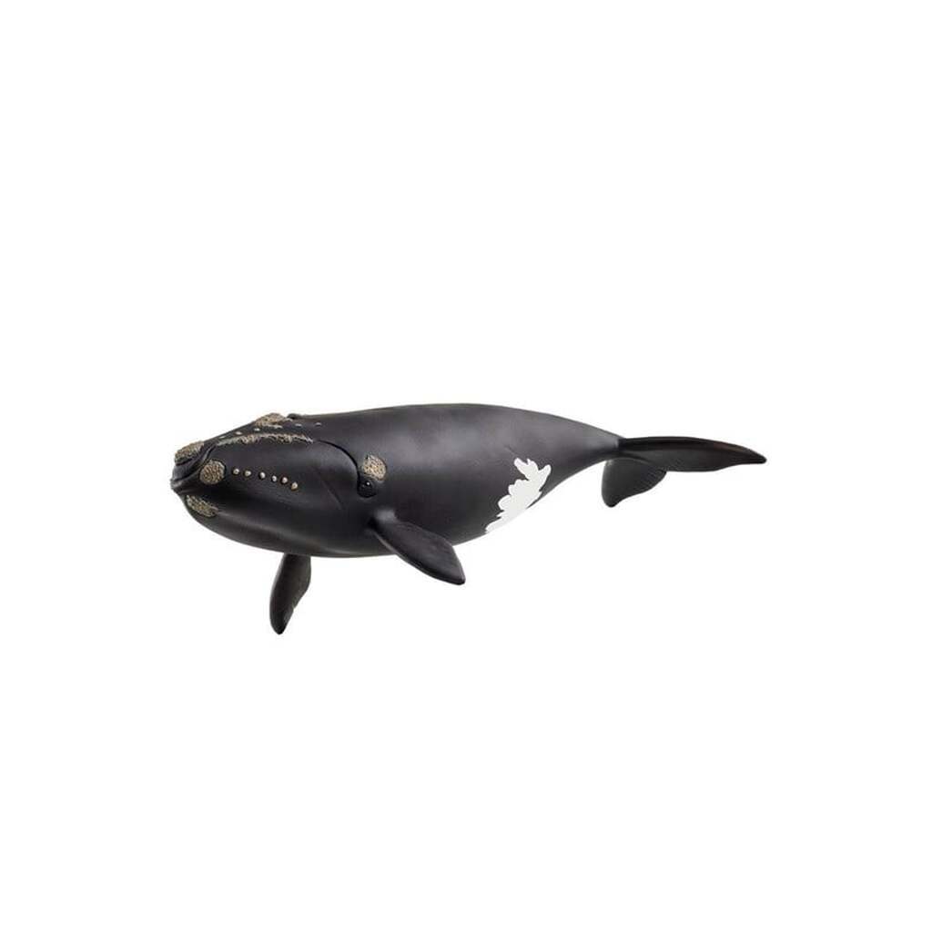 Schleich Nordatlantisk rethval