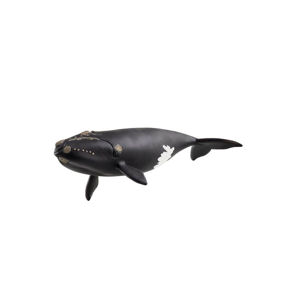 Schleich Wild Life North Atlantic Right Whale