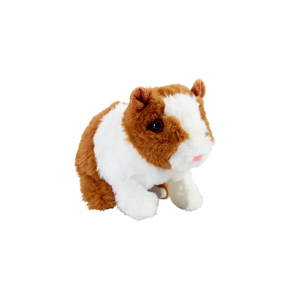 Happy Pets Marsvin