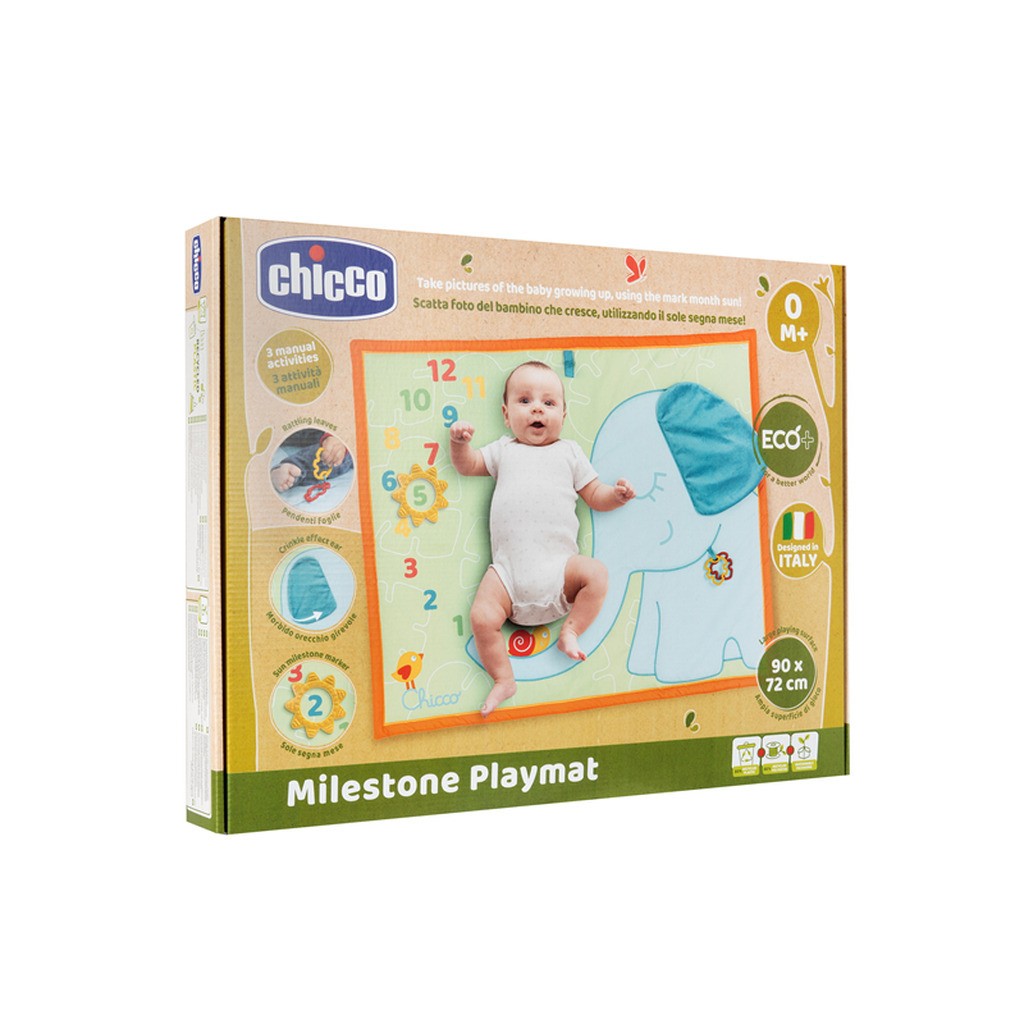 Chicco Pictures Playmat