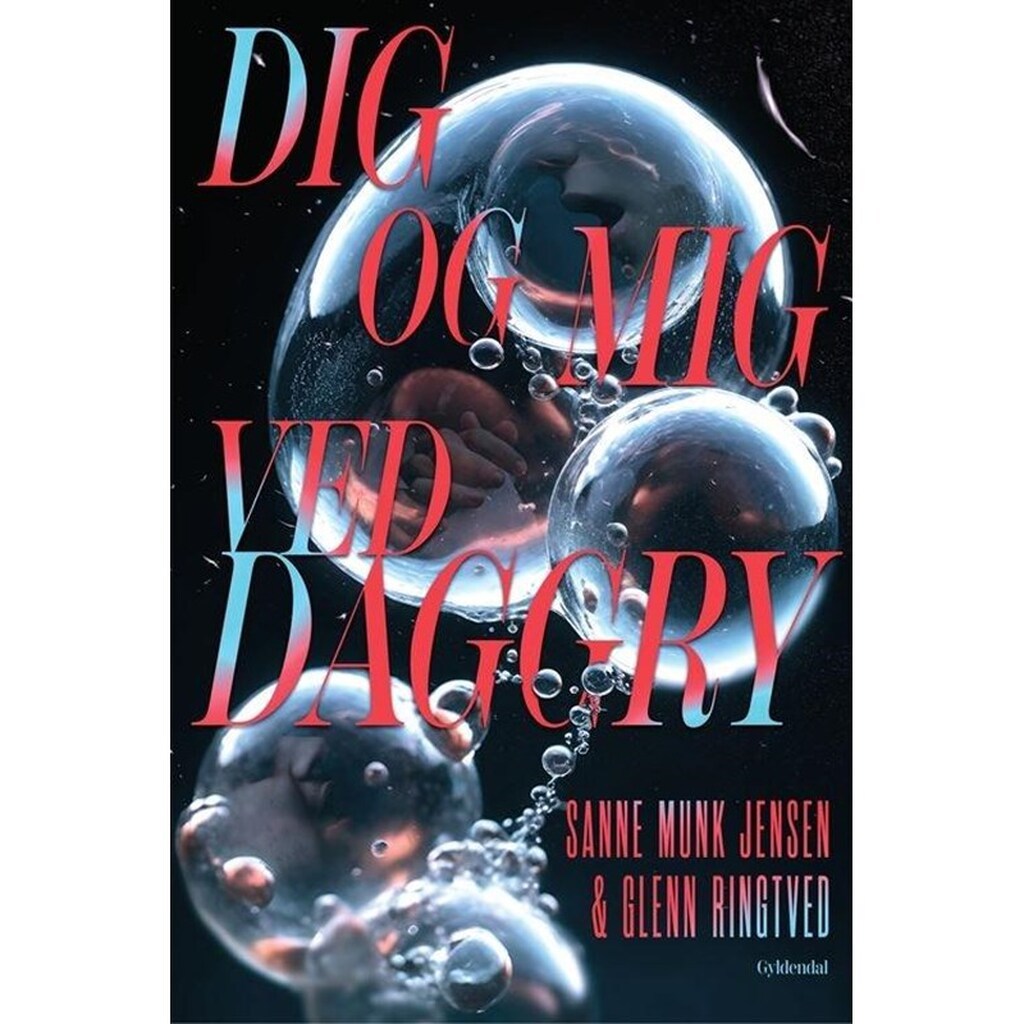 Dig og mig ved daggry - Ungdomsbog - Hæftet