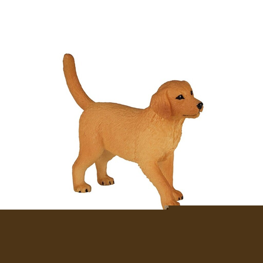 Mojo Farmland Golden Retriever Puppy