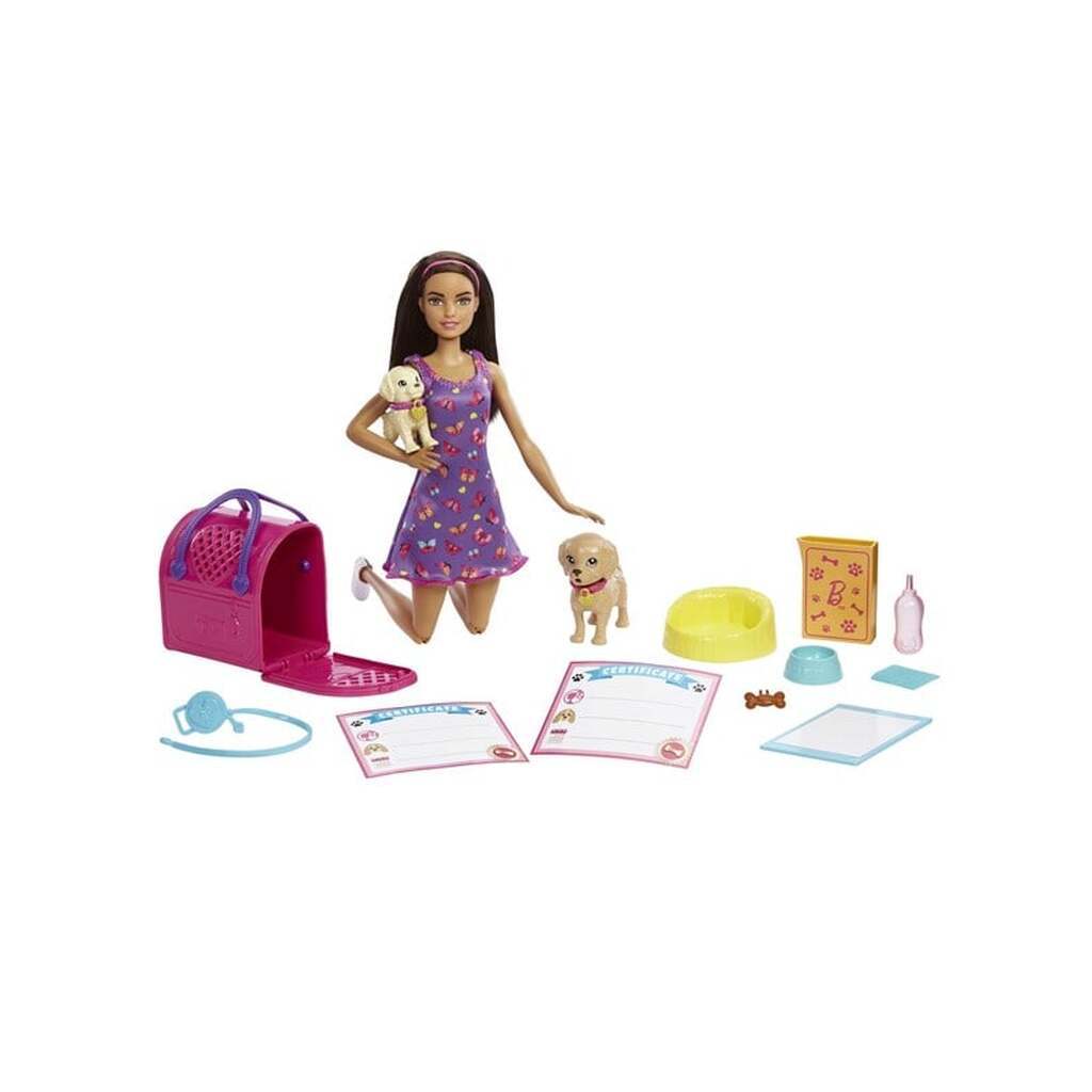 Barbie Doll And Accessories Pup Adoption Playset With Doll 2 Puppies And Color-Change