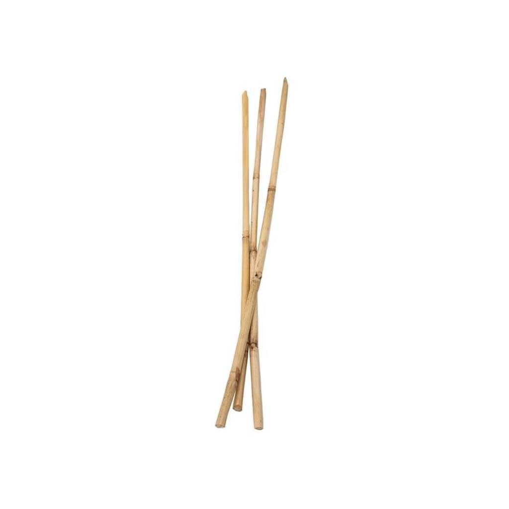 Colorations - Bamboo sticks 50cm 3 pcs.