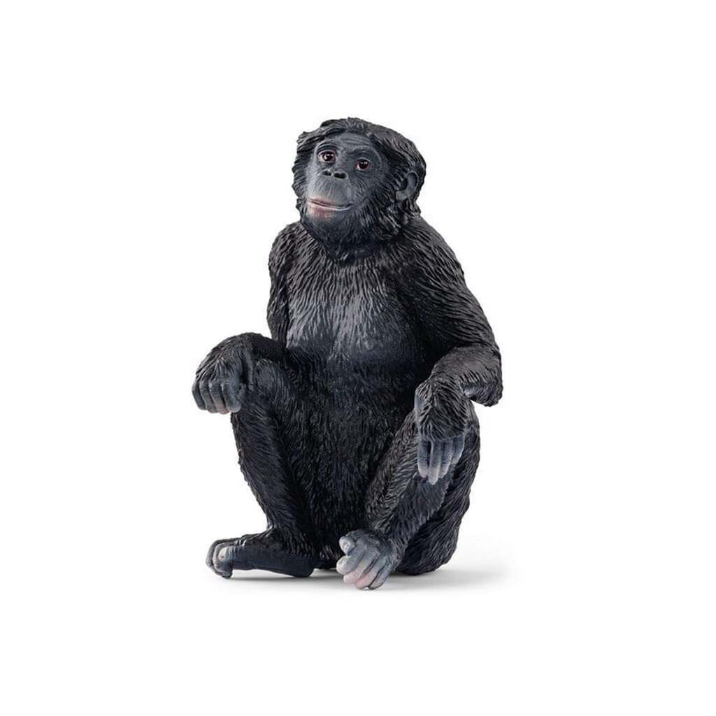 Schleich Bonobo hun