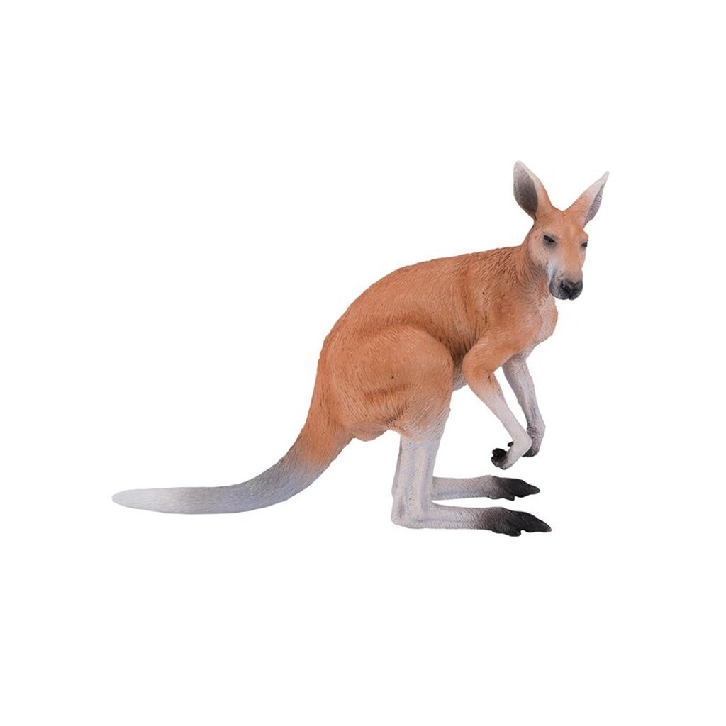 Mojo Wildlife Kangaroo