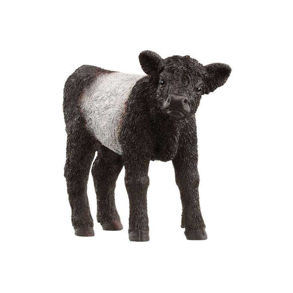 Schleich Galloway-Kalv