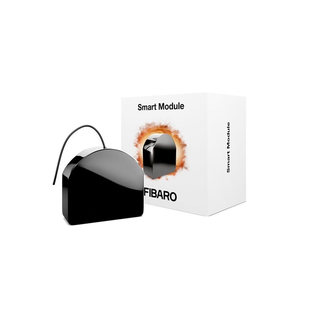 Fibaro Smart Module