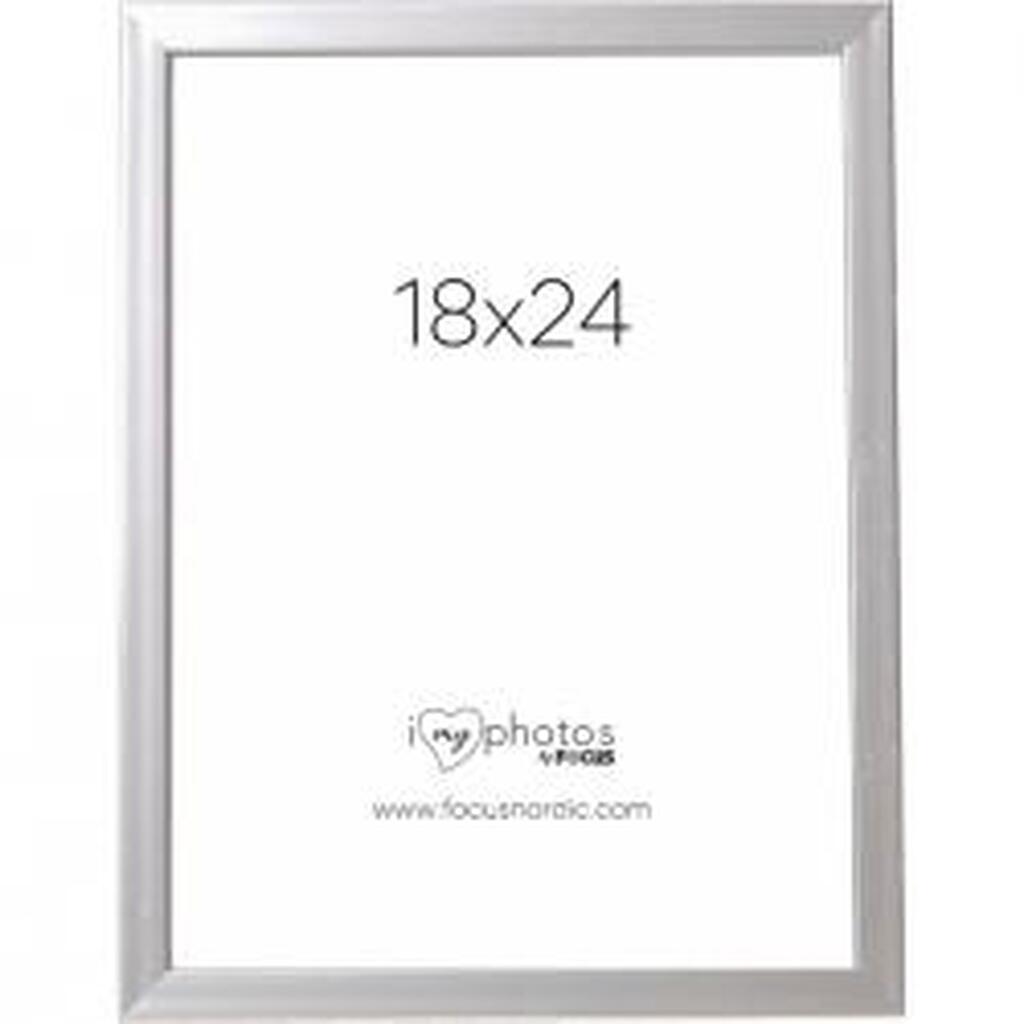 Focus Pop Silver 18x24 - Ramme