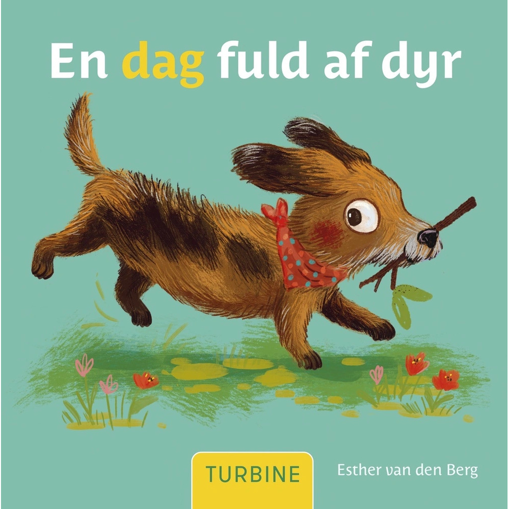 En dag fuld af dyr