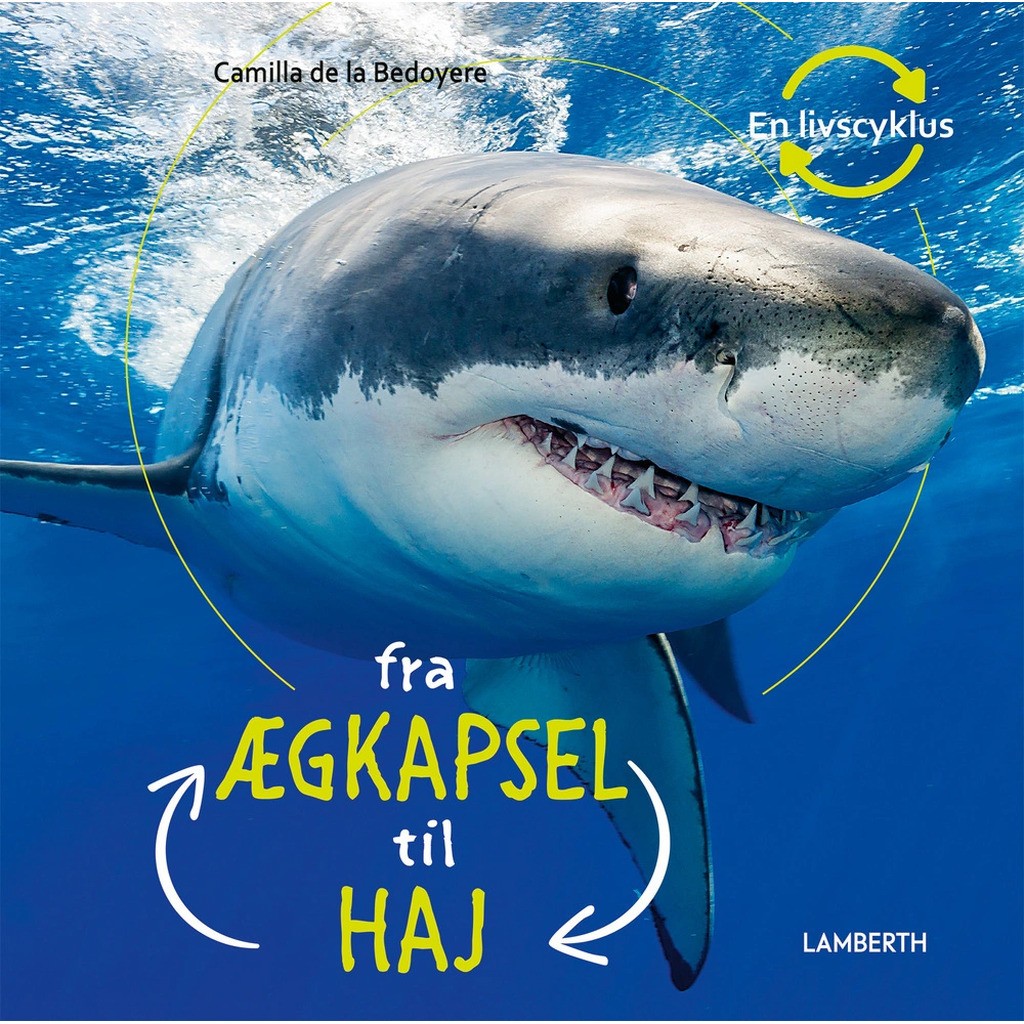 Fra ægkapsel til haj