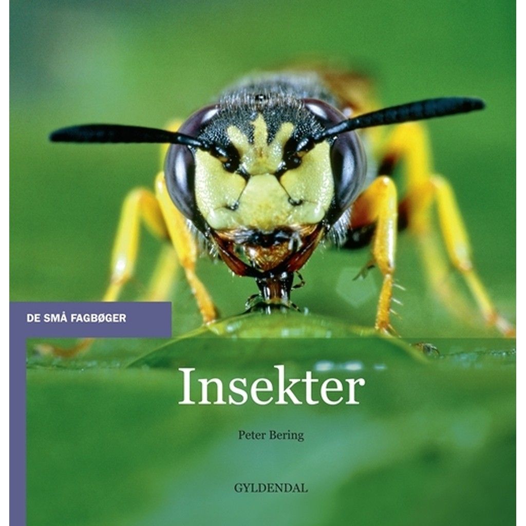 Insekter