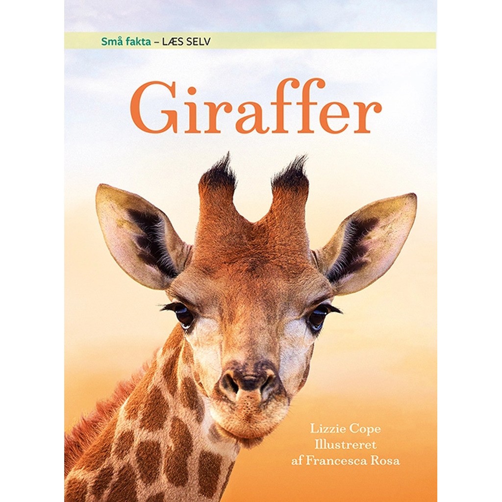 Små fakta: Giraffer