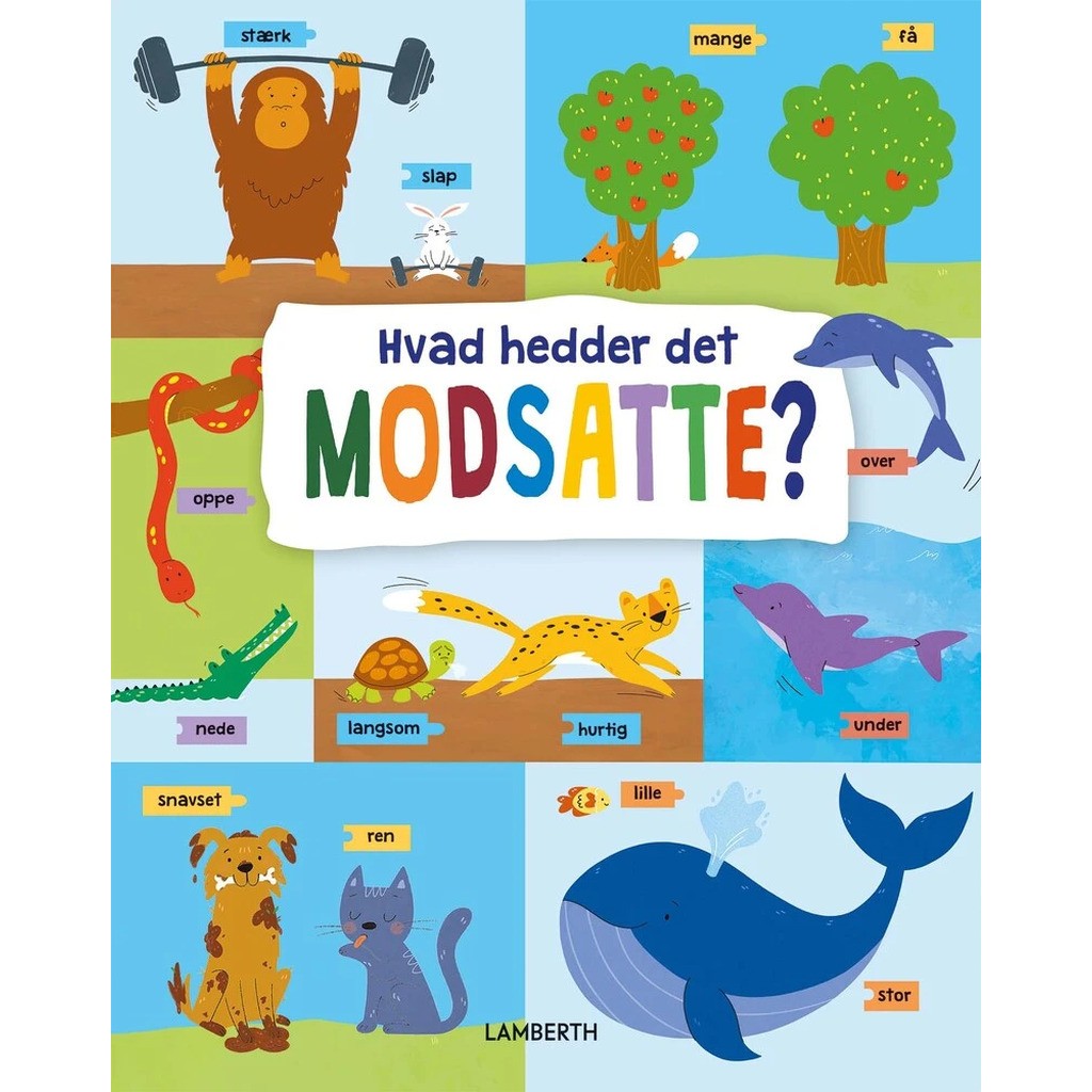 Hvad hedder det modsatte?