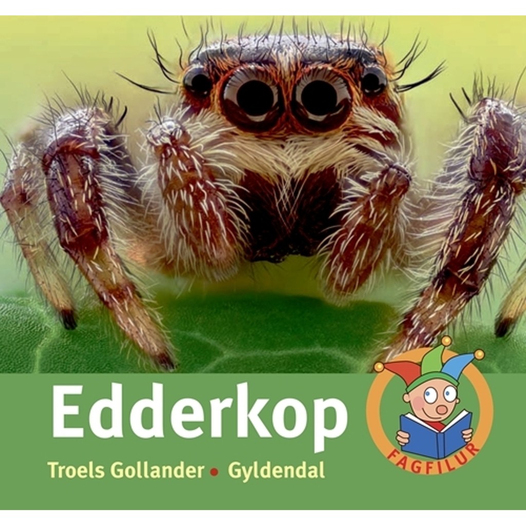 Edderkop