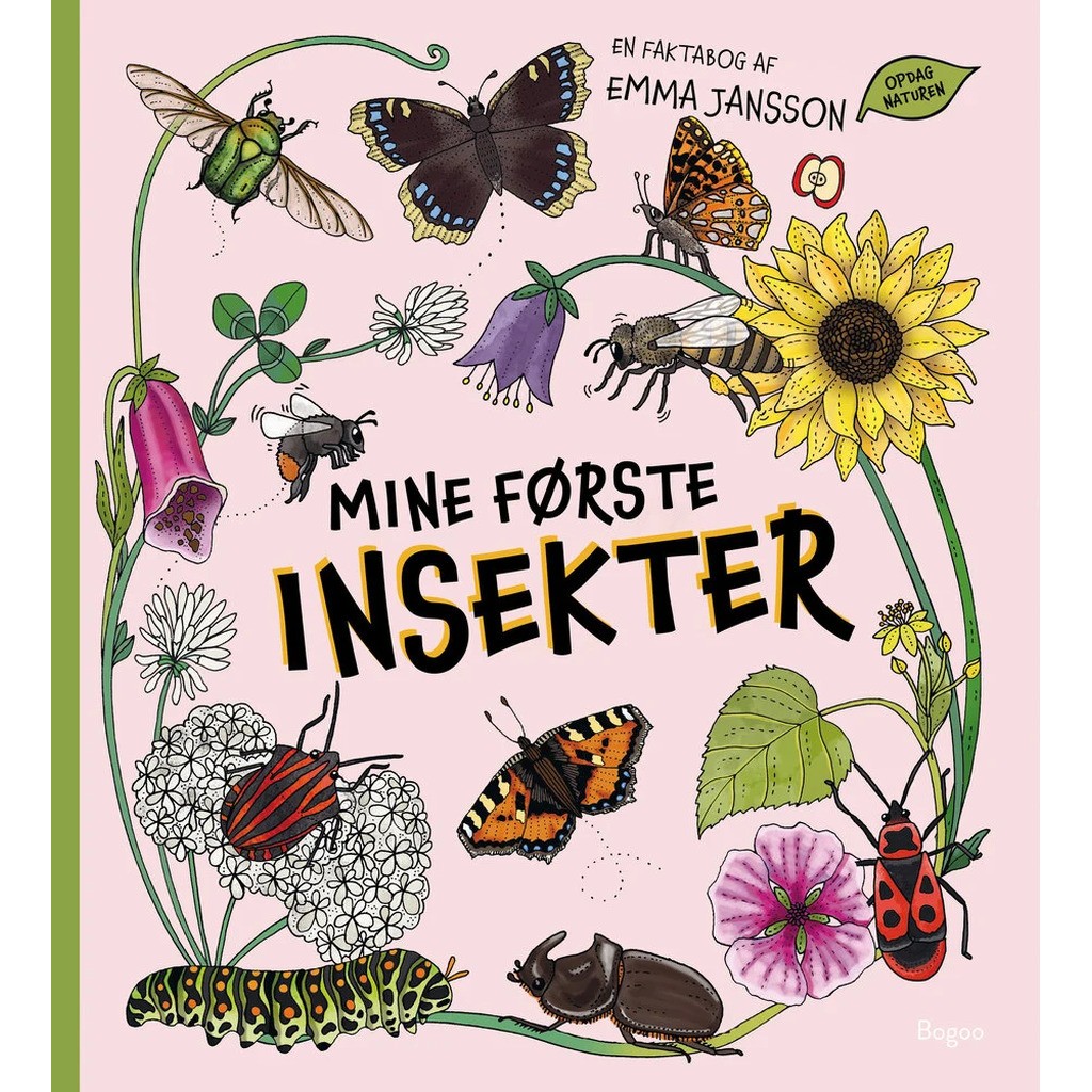 Mine første insekter