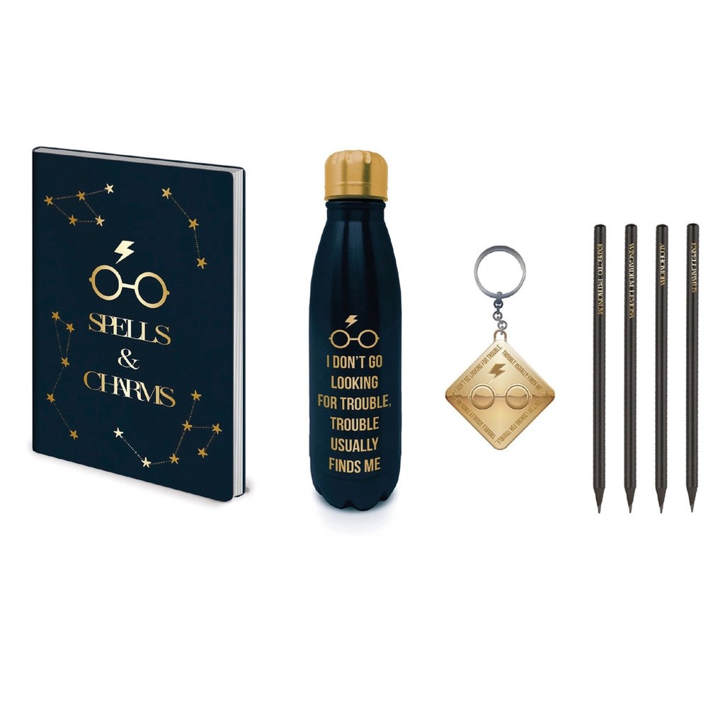 Harry Potter  Metal Vandflaske Honey Dukes