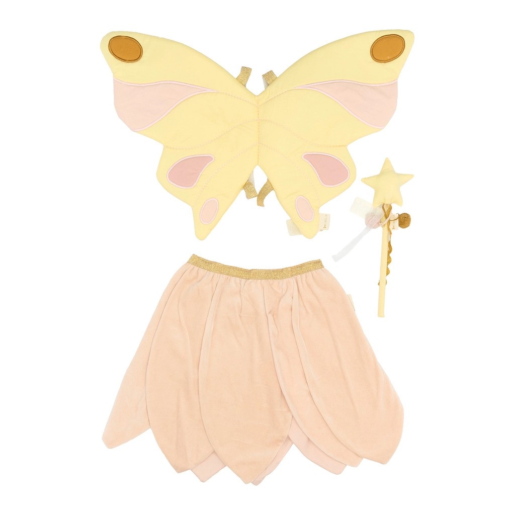 Dress-up - Fairy
