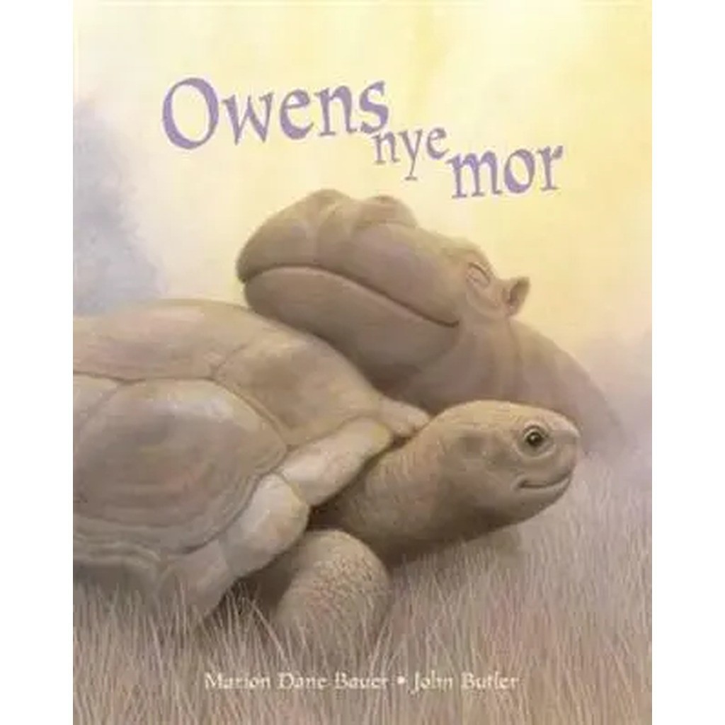 Owens nye mor