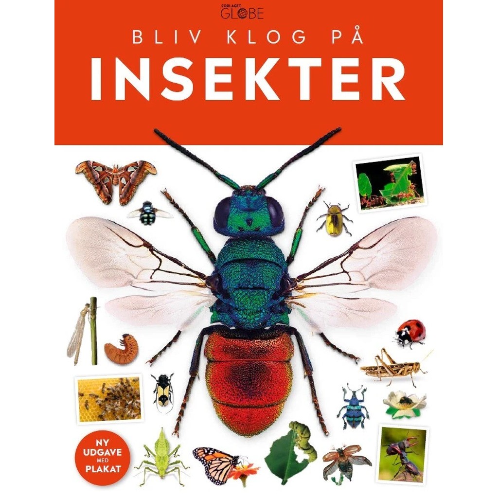 Insekter