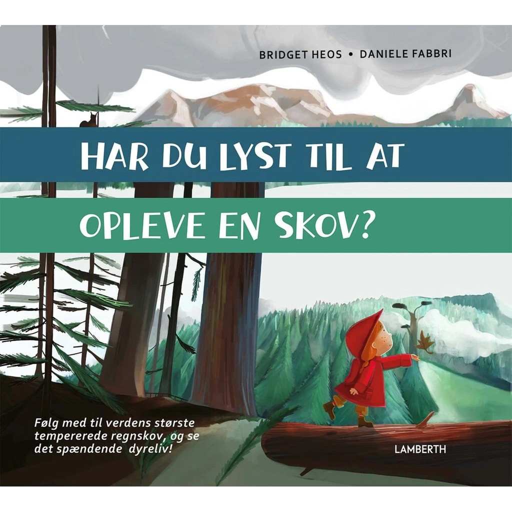 Har du lyst til at opleve en skov?