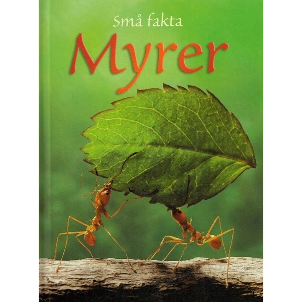 Små fakta: Myrer, BB