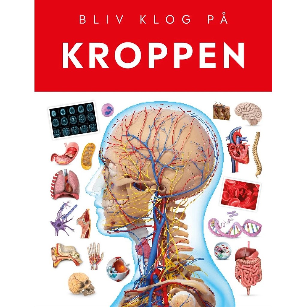 Kroppen