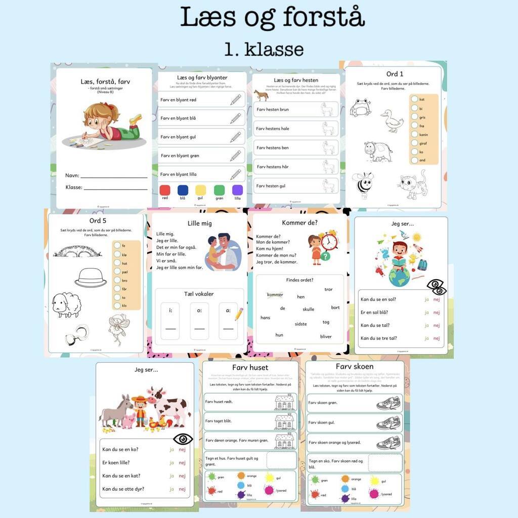 Læs og forstå - niveau B (Print selv)