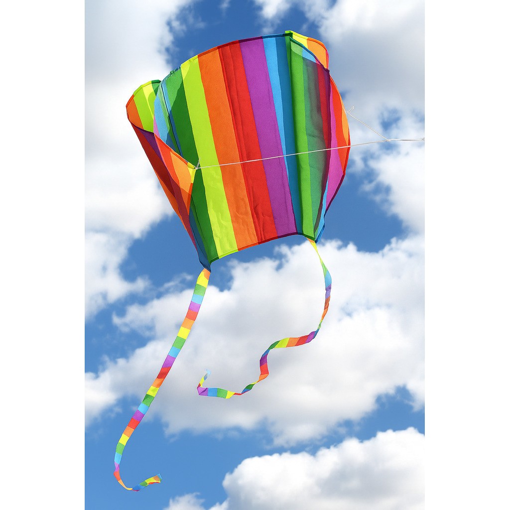 Wikz Parafoil Drage - Spectrum - Regnbue