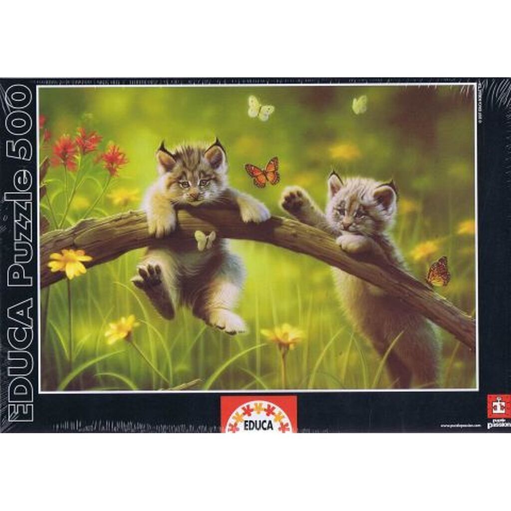 Kittyland, 500 brikker